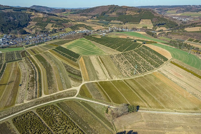 Aerial view, tree plantations, nature reserve Elpetal, meadows and fields, Heringhausen, Bestwig, Sauerland, North Rhine-Westphalia, Germany, DE, Europe, shapes and colours, landscape, aerial view, aerial photography, aerial photography, nature reserve, nature conservation, traces in the landscape, fir tree plantations, overview, bird's eye view, birds-eyes view, green lung, overview, monoculture, monocultures, Christmas tree plantations, tree nursery