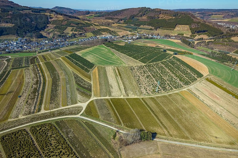 Aerial view, tree plantations, nature reserve Elpetal, meadows and fields, Heringhausen, Bestwig, Sauerland, North Rhine-Westphalia, Germany, DE, Europe, shapes and colours, landscape, aerial view, aerial photography, aerial photography, nature reserve, nature conservation, traces in the landscape, fir tree plantations, overview, bird's eye view, birds-eyes view, green lung, overview, monoculture, monocultures, Christmas tree plantations, tree nursery