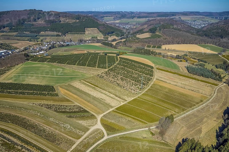 Aerial view, tree plantations, nature reserve Elpetal, meadows and fields, Heringhausen, Bestwig, Sauerland, North Rhine-Westphalia, Germany, DE, Europe, shapes and colours, landscape, aerial view, aerial photography, aerial photography, nature reserve, nature conservation, traces in the landscape, fir tree plantations, overview, bird's eye view, birds-eyes view, green lung, overview, monoculture, monocultures, Christmas tree plantations, tree nursery
