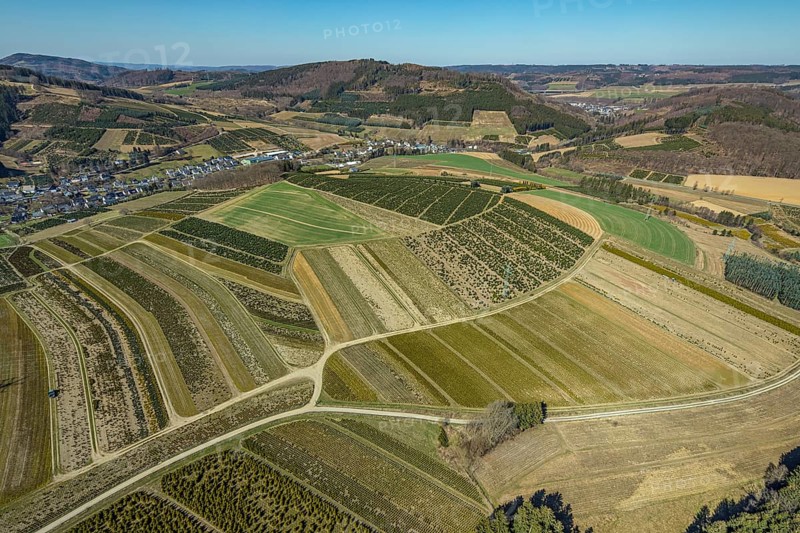 Aerial view, tree plantations, nature reserve Elpetal, meadows and fields, Heringhausen, Bestwig, Sauerland, North Rhine-Westphalia, Germany, DE, Europe, shapes and colours, landscape, aerial view, aerial photography, aerial photography, nature reserve, nature conservation, traces in the landscape, fir tree plantations, overview, bird's eye view, birds-eyes view, green lung, overview, monoculture, monocultures, Christmas tree plantations, tree nursery
