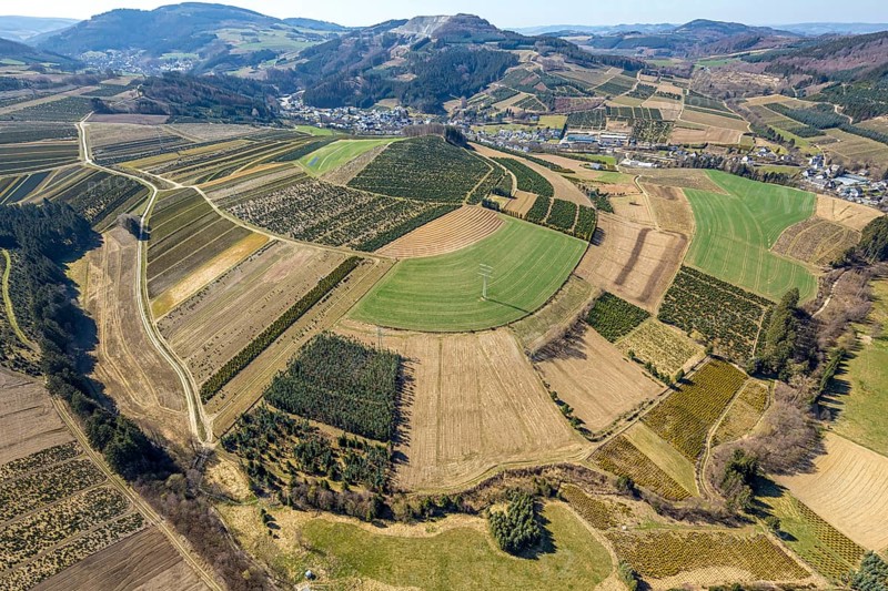 Aerial view, tree plantations, meadows and fields, Heringhausen, Bestwig, Sauerland, North Rhine-Westphalia, Germany, DE, Europe, shapes and colours, landscape, aerial view, aerial photography, aerial photography, traces in the landscape, fir tree plantations, overview, bird's-eye view, birds-eyes view, green lung, overview, monoculture, monocultures, Christmas tree plantations, tree nursery