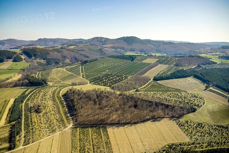 Aerial view, tree plantations, meadows and fields, Gevelinghausen, Olsberg, Sauerland, North Rhine-Westphalia, Germany, DE, Europe, shapes and colours, landscape, aerial view, aerial photography, aerial photography, traces in the landscape, fir tree plantations, overview, bird's eye view, birds-eyes view, green lung, overview, monoculture, monocultures, Christmas tree plantations, tree nursery