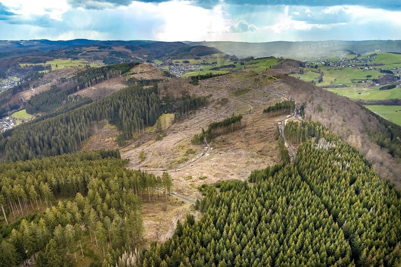 Aerial photo, forest damage in the Holzhausen forest area, Bad Laasphe, Siegerland, North Rhine-Westphalia, Germany, tree mortality, DE, Europe, aerial photo, aerial photography, aerial photography, overview, bird's-eye view, forest, forest area, forest damage, forest mortality, birds-eyes view, overview, bark beetle plague, spruce mortality, clearing, tree clearing, deforestation, woodpile