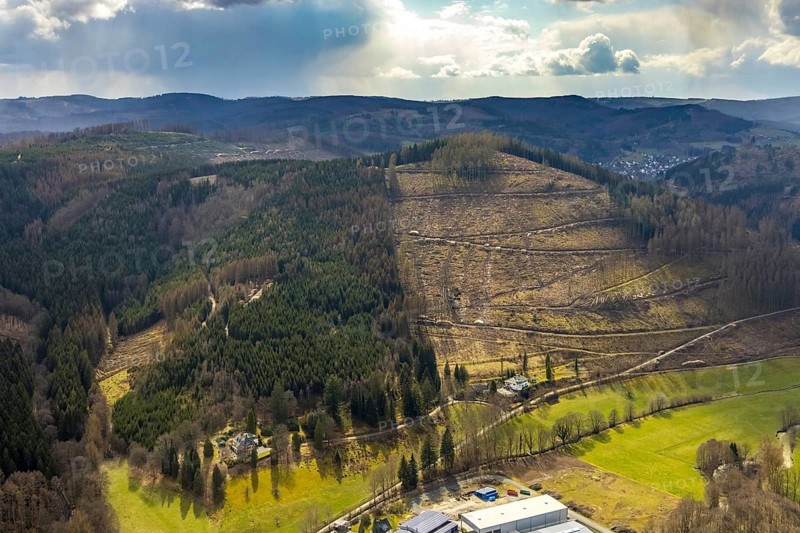 Aerial photo, forest damage in the Holzhausen forest area, Bad Laasphe, Siegerland, North Rhine-Westphalia, Germany, tree mortality, DE, Europe, aerial photo, aerial photography, aerial photography, overview, bird's-eye view, forest, forest area, forest damage, forest mortality, birds-eyes view, overview, bark beetle plague, spruce mortality, clearing, tree clearing, deforestation, woodpile