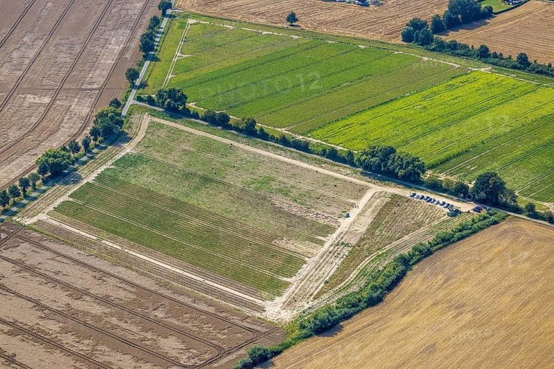Aerial view, flower field, meadows and fields Im Kreigenfeld in Bergkamen, Ruhr area, North Rhine-Westphalia, Germany, Bergkamen, fallow land, DE, Europe, aerial view, aerial photography, aerial photography, overview, bird's-eye view, meadows and fields, birds-eyes view, overview