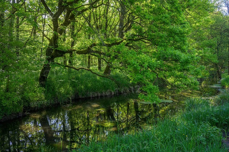 River Aulandschaft, Götzinger Achen, Tittmoning, Bavaria, Germany