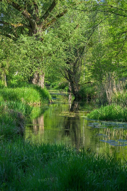 River Aulandschaft, Götzinger Achen, Tittmoning, Bavaria, Germany
