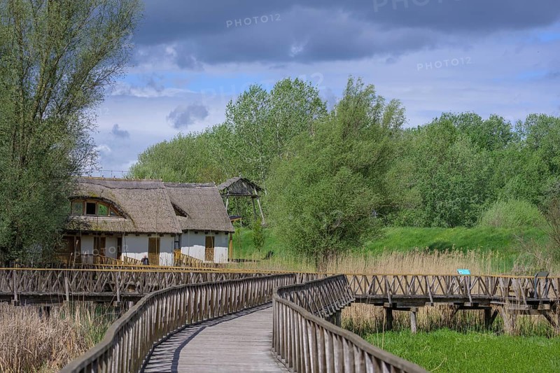 Jetty in the Kopacki Rit nature park Park, Kopacevo, Osijek-Baranja County, Croatia