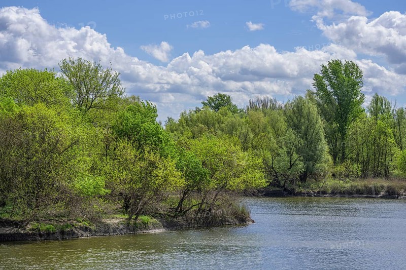 Sakadas Lake in Kopacki Rit nature park Park, Kopacevo, Osijek-Baranja County, Croatia