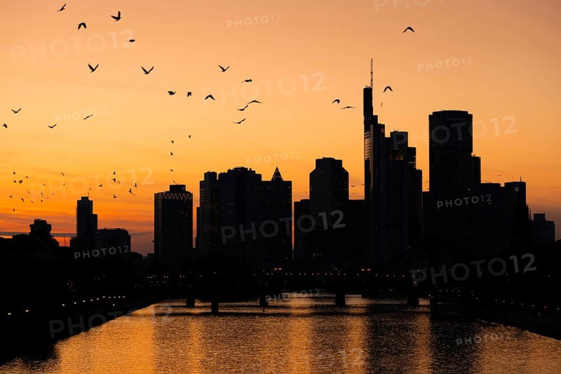 A flock of birds flies over the Frankfurt banking skyline in the evening shortly after sunset, Osthafen, Frankfurt am Main, Hesse, Germany