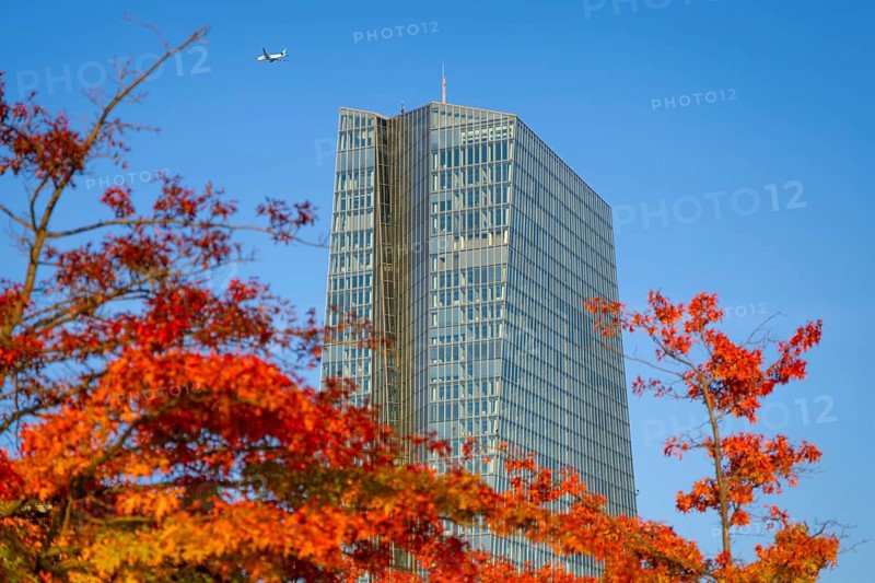 The European Central Bank (ECB) in Frankfurt am Main stands out from the autumnal, colourful trees on the banks of the Main, Weseler Werft, Frankfurt am Main, Hesse, Germany