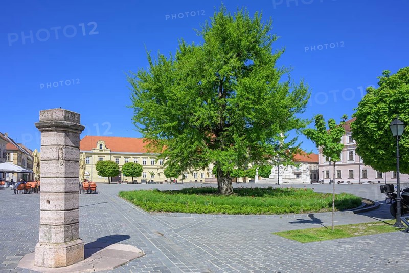 Pillory on the main square of Tvrda, Osijek, Osijek-Baranja County, Croatia