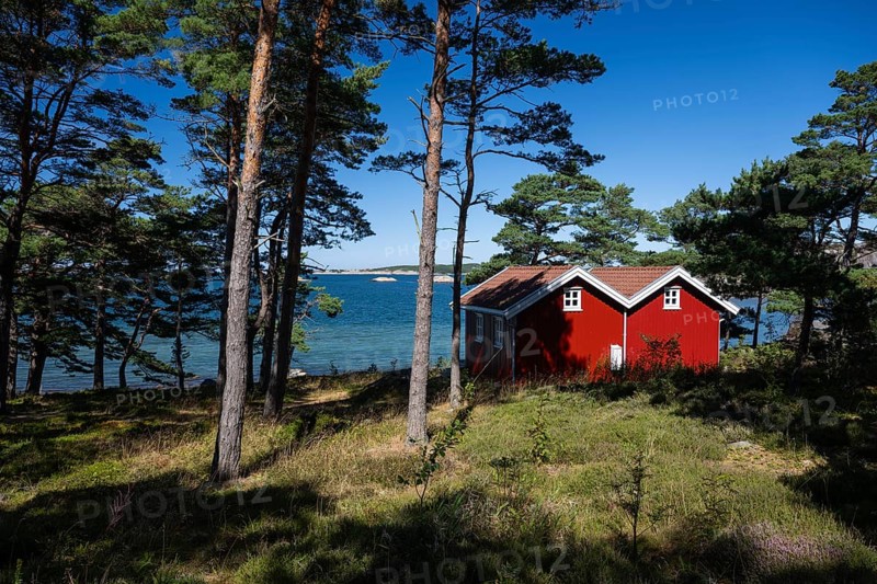 Falun red or Swedish red boathouses between pine trees, Resö Island, Bohuslän, Skagerrak, Sotenäs, Västra Götalands län, Sweden