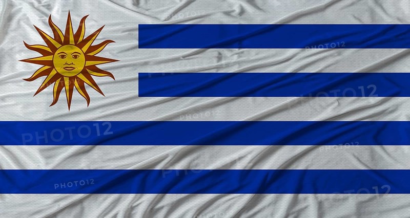 Uruguayan flag waving. Flag of Uruguay with cloth texture