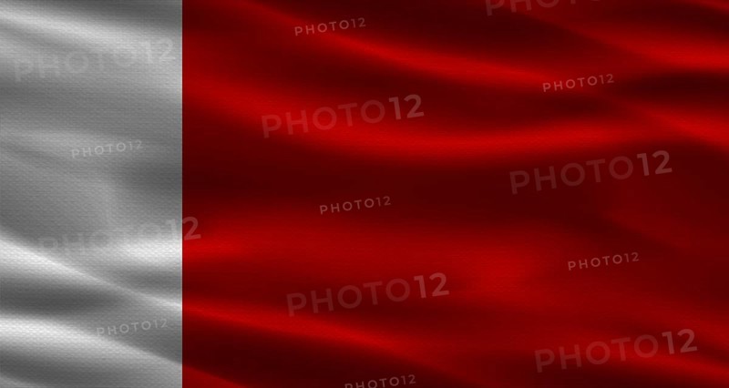 Dubai flag with fabric texture. Realistic flag of Dubai waving