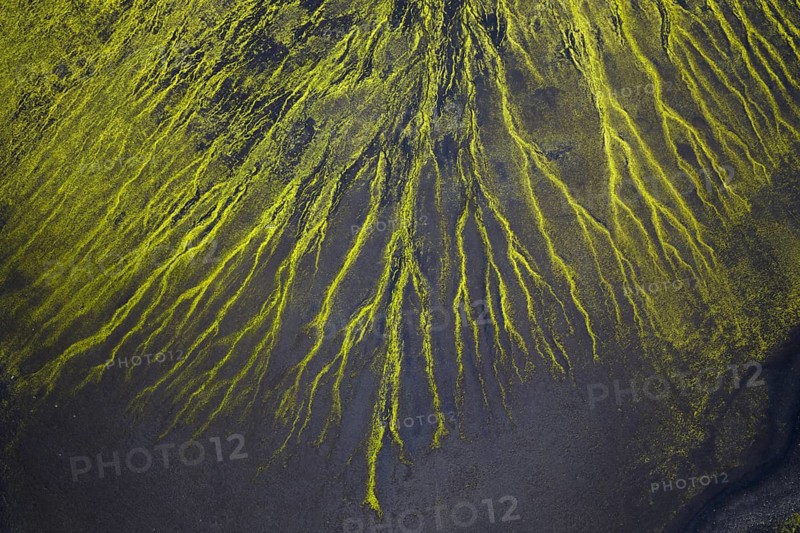 Abstract patterns of moss in black sand desert, Icelandic Highlands, Iceland