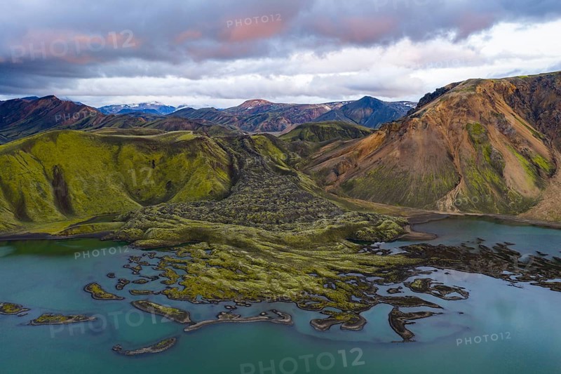 Moss-covered lava field, Landmannalaugar, Fjallabak Nature Reserve, Icelandic Highlands, Iceland