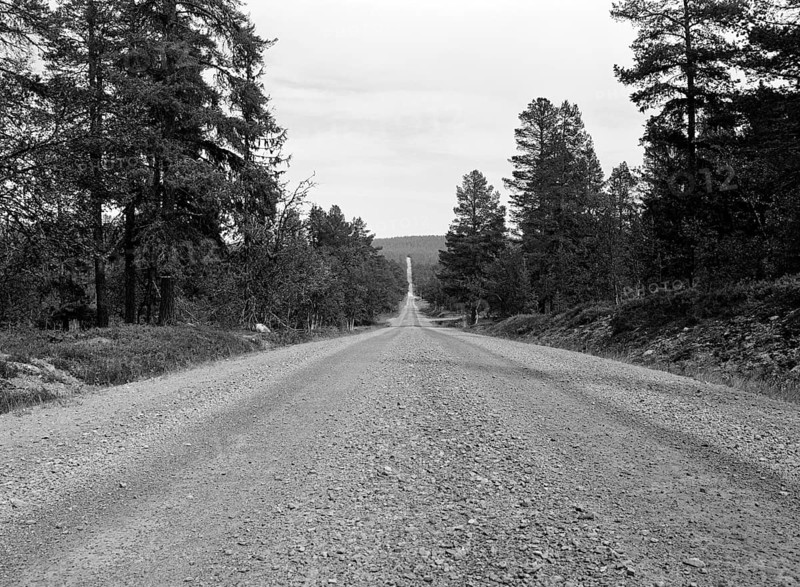 Straight gravel road, black and white, analogue, Härjedalen, Sweden