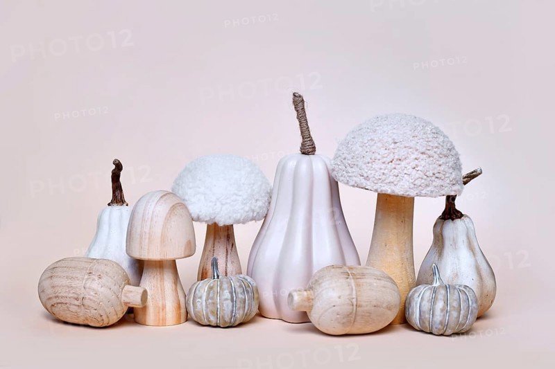 Decorative pumpkin, mushroom and acorn ornaments on beige background. Boho autumn composition