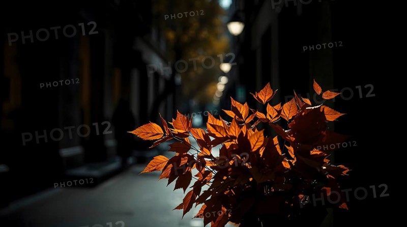 A bouquet of warm autumn leaves stands out in low key lighting, casting deep shadows along a serene alleyway lined with muted street lamps, a tranquil moment of fall. AI generated