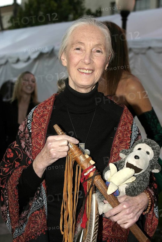 Dr. Jane Goodall at the the 2nd Annual Guardian IDA Awards fundraiser held at Paramount Studios in Hollywood, USA on October 30, 2004, Hollywood, CA, USA, Los Angeles, California, USA