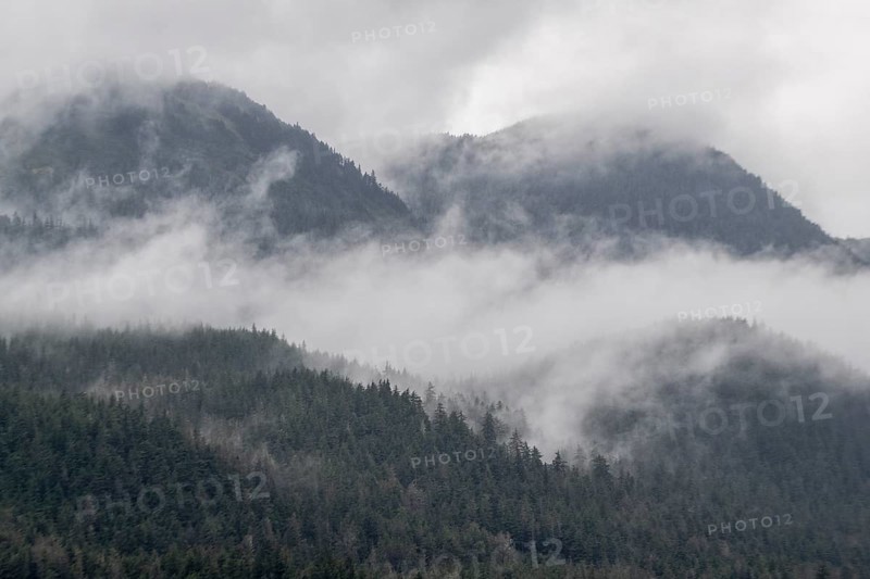 Fog on a forested mountainside, Juneau, Alaska, USA