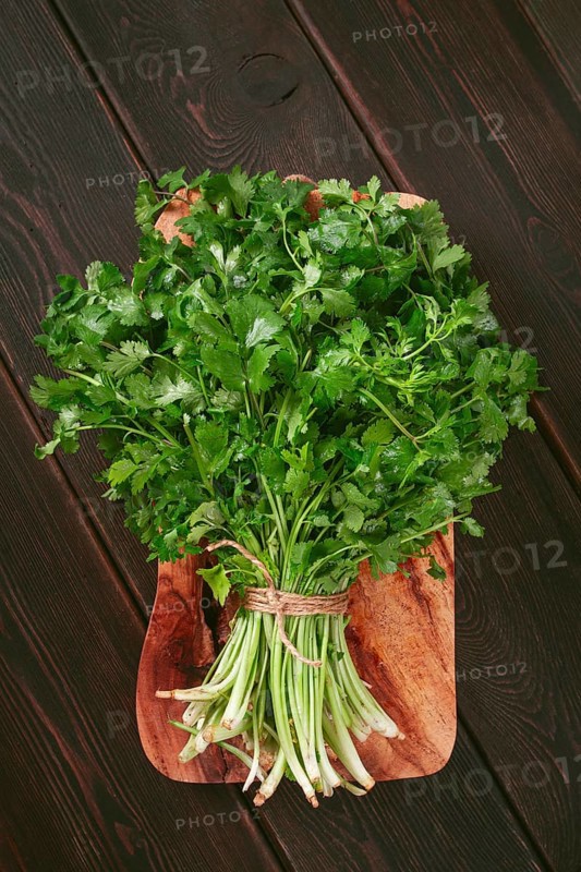 A bunch of fresh cilantro sits on a wooden cutting board. The vibrant green leaves and stems are neatly tied, perfect for adding flavor to meals in a cozy kitchen setting