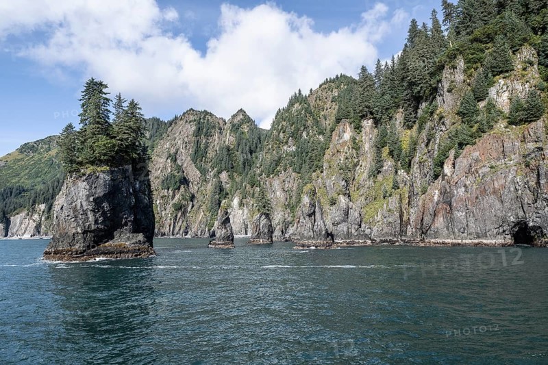 Rocks in the sea, Kenai Fjords National Park, Alaska, USA