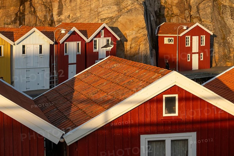 Colourful boathouses between rocks in the harbour of Smögen, Smögenbryggan, Västra Götalands Län, Bohuslän, Sweden
