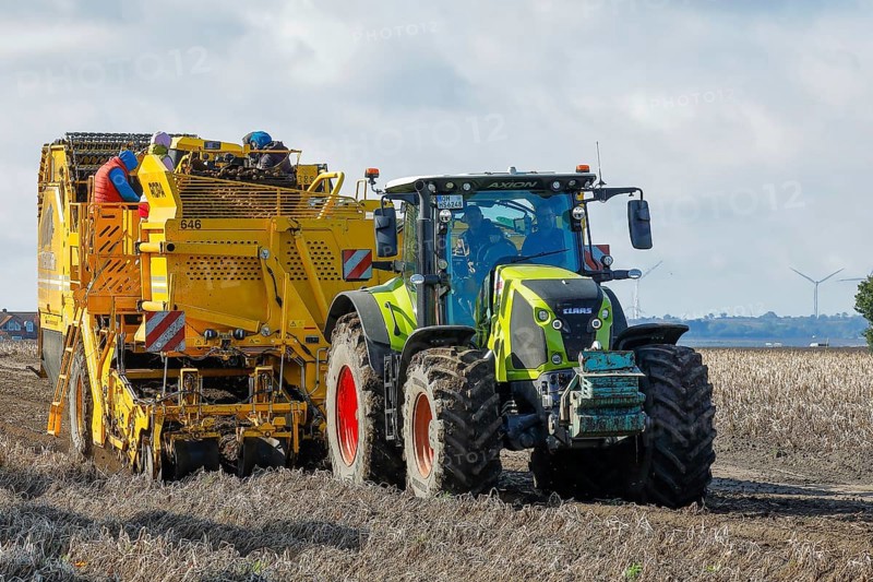 Agricultural harvesting of potatoes with ROPA Keiler 2 potato harvester in front of Claas Axion 830 tractor, Baltic Sea island of Fehmarn, East Holstein, Schleswig-Holstein, Germany