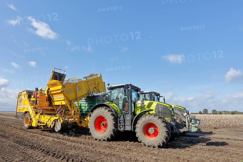 Agricultural harvesting of potatoes with ROPA Keiler 2 potato harvester in front of Claas Axion 830 tractor, Baltic Sea island of Fehmarn, East Holstein, Schleswig-Holstein, Germany