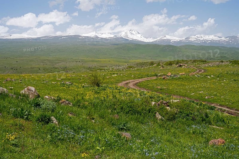 Green landscape with snow-capped mountains in the background and a winding path in the foreground, view from the Monument of the Holy Cross to Aragaz, Aparan, Aragazotn Province, Armenia