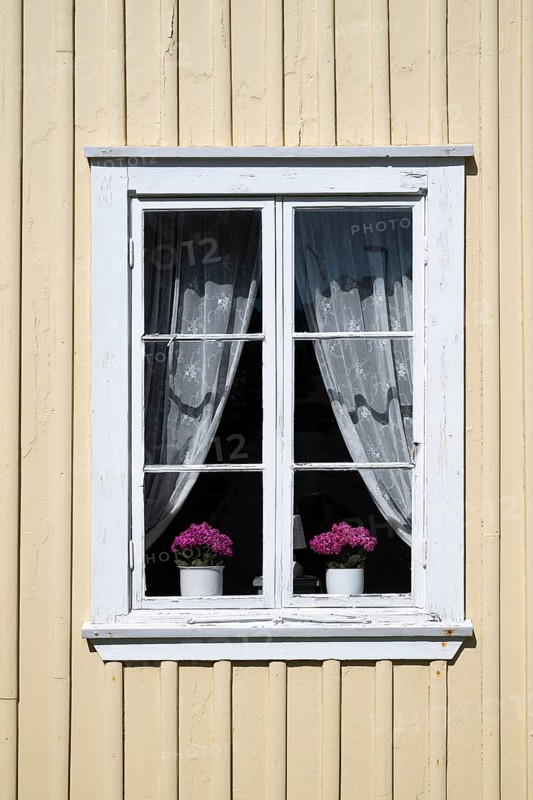 Light yellow wooden house with white window, white curtains and two flower pots, Fjällbacka, Bohuslän, West Sweden, Sweden