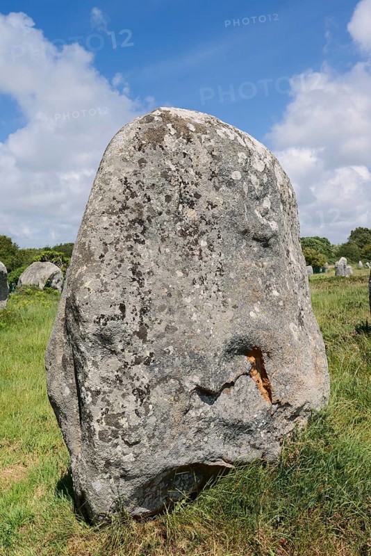 Megalithe, Alignements du Menec, Carnac, Department of Morbihan, Brittany, France