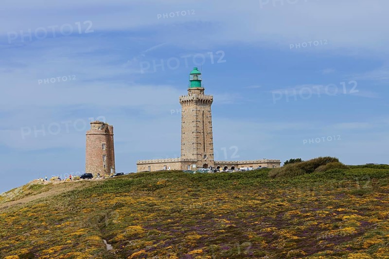 Lighthouse and landscape with flowering gorse (Ulex gallii) and heather, Cap Frehel, Cote d'Emeraude, Cotes-d'Armor, Brittany, France