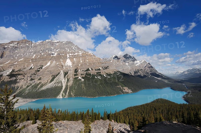 Glacier lake Peyto Lake, Icefields Parkway, Banff National Park, Alberta, Canada