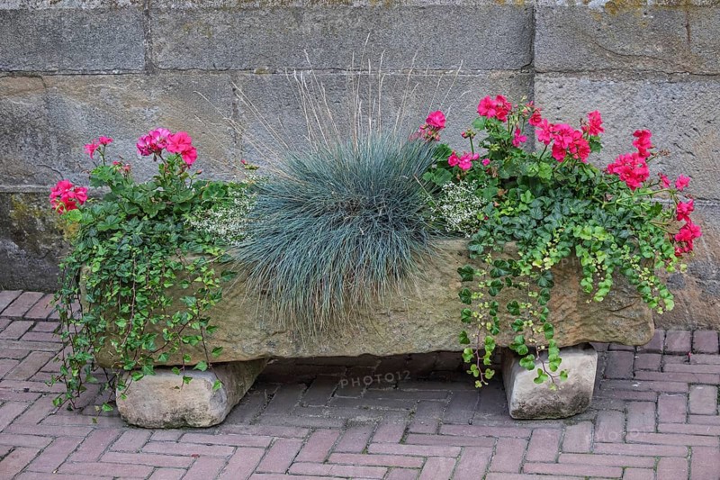Sowing trough, stone trough with flower planting and grasses, Münsterland, North Rhine-Westphalia, Germany