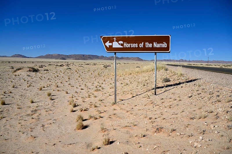 Sign desert horses, near Garub, Karas region, Namibia