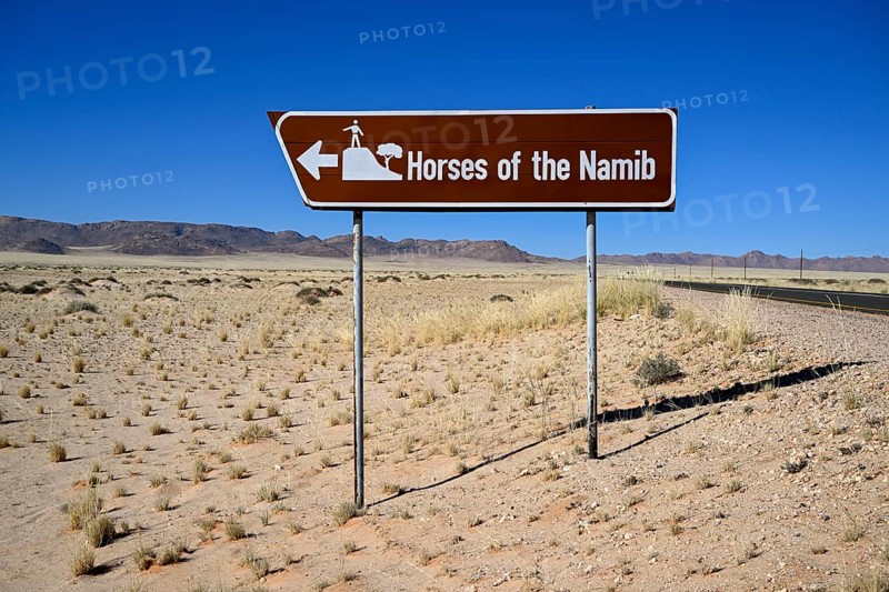 Sign desert horses, near Garub, Karas region, Namibia
