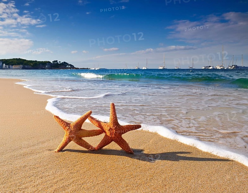 Starfish on a sandy beach create a serene and relaxing atmosphere, symbolizing nature and coastal life. Ideal for themes of summer, travel, and ocean adventure, AI generated