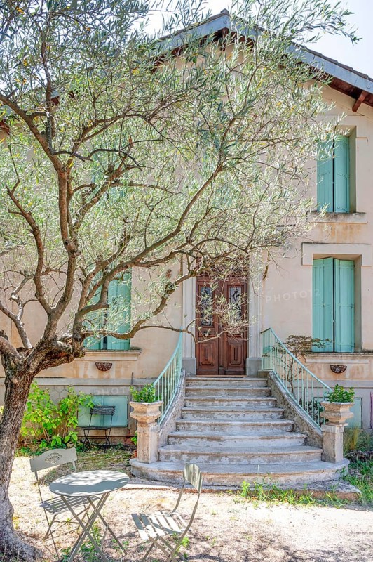 Typical Midi architecture in the south of France: a rustic stone staircase with ornate banisters leads to a dark brown wooden door of an ochre-coloured house, while a small bistro table waits in the shade of an olive tree: Moureze, Herault, Occitania, France