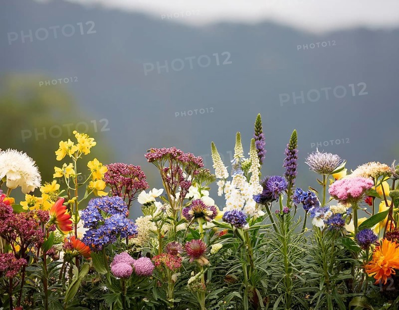 A variety of colorful wildflowers flourish on a hillside against a blurred mountainous backdrop. The flowers reflect vibrancy, serenity, and the beauty of nature in a peaceful outdoor environment, AI generated