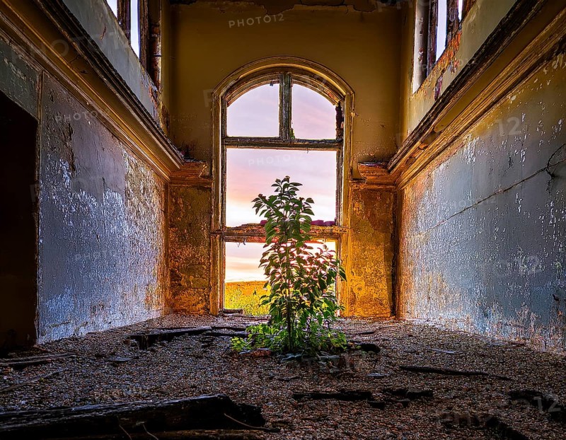 An abandoned building reveals a stunning view of a colorful sunset through a decayed window, surrounded by greenery reclaiming the space, symbolizing hope, resilience and the beauty of nature, AI generated