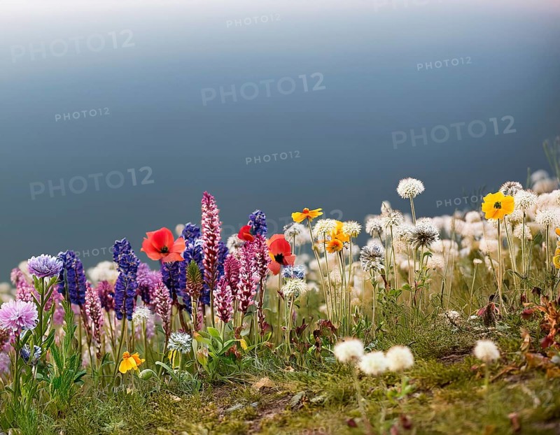 A variety of colorful wildflowers flourish on a hillside against a blurred mountainous backdrop. The flowers reflect vibrancy, serenity, and the beauty of nature in a peaceful outdoor environment, AI generated