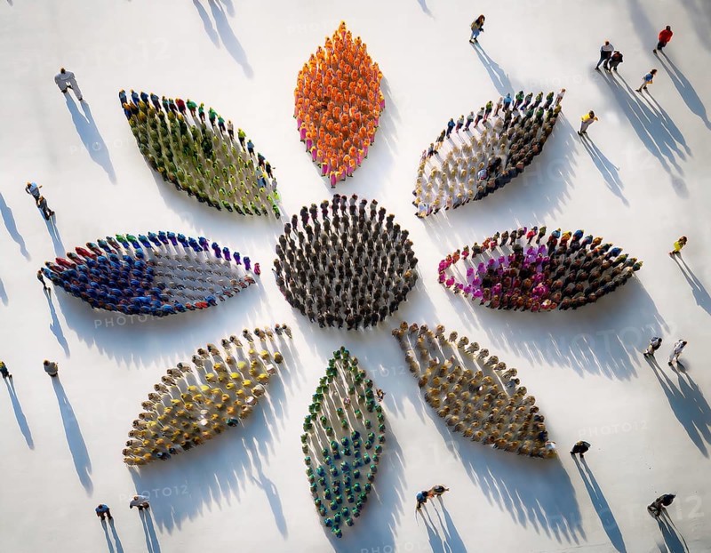 A vibrant aerial perspective of people assembling into petal-like shapes in various colors, symbolizing unity and diversity, casting distinct, graceful shadows on a white background, AI generated