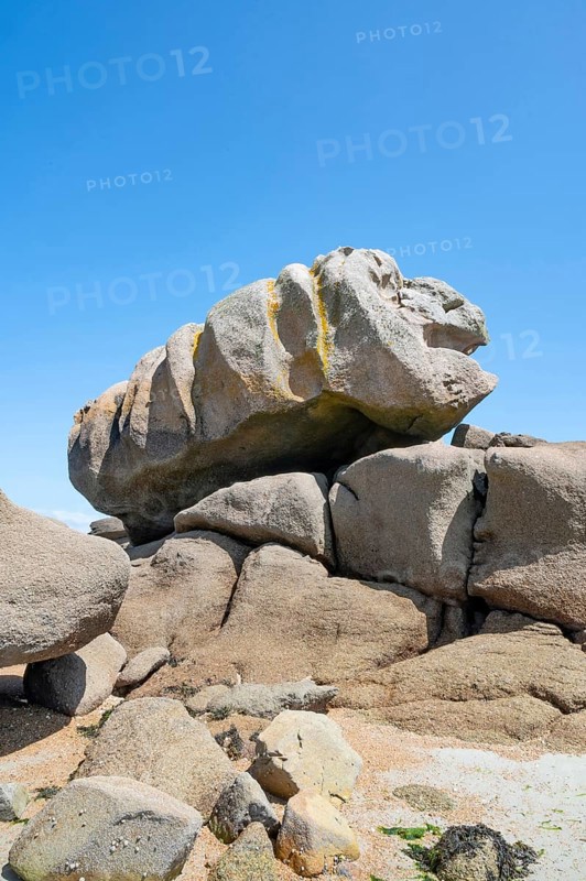 Spectacular pink granite rocks, sculpted by wind and sea, sometimes with animals and fantasy figures, pile up on the beach of the Cote de Granit Rose, while the clear, turquoise-blue water at low tide reveals seaweed and light-coloured sand on the seabed, Tregastel, Cotes-d'Armor department, Brittany region, France