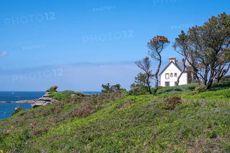 The white Breton house on a green cliff on the GR 34 coastal hiking trail in Trégastel offers a picturesque view of the turquoise blue sea and the rugged pink granite coast, Tregastel, Cote du Granite Rose, Cotes-d'Armor department, Brittany region, France
