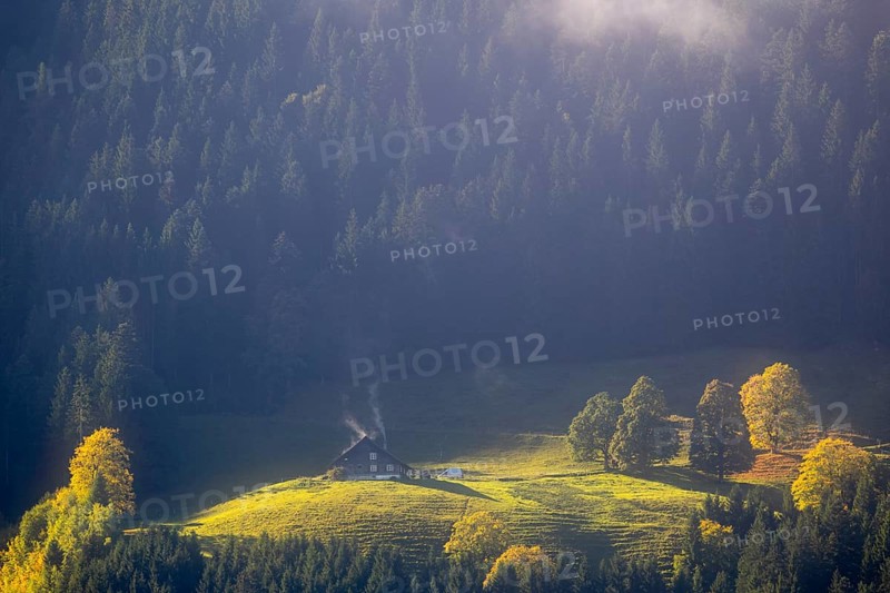 Alpine hut in the fog, trees in autumn colours, smoke from the Schonrstein, autumn, Laterns, Vorarlberg, Austria