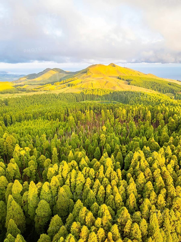 Hills, Forest and Mountains at Sunset. Azores, Sao Miguel Island, Portugal. Aerial View