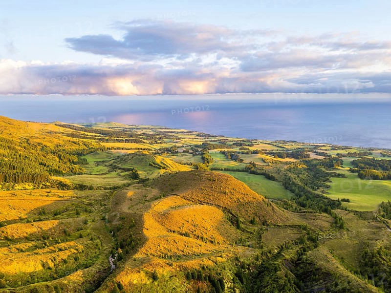 Green Lush Hills, Pasturelands and Trees at Sunset. Atlantic Ocean. Azores, Sao Miguel Island, Portugal. Aerial View